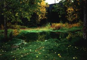 Warme Quellen bei Atlin, B.C.