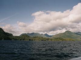 Abgeholzte Berghänge auf Vancouver Island