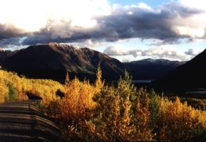 Herbststimmung am Cassiar Highway nahe Iskut
