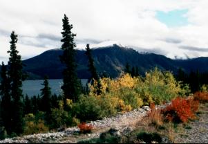 Windy Arm des Tagish Lake